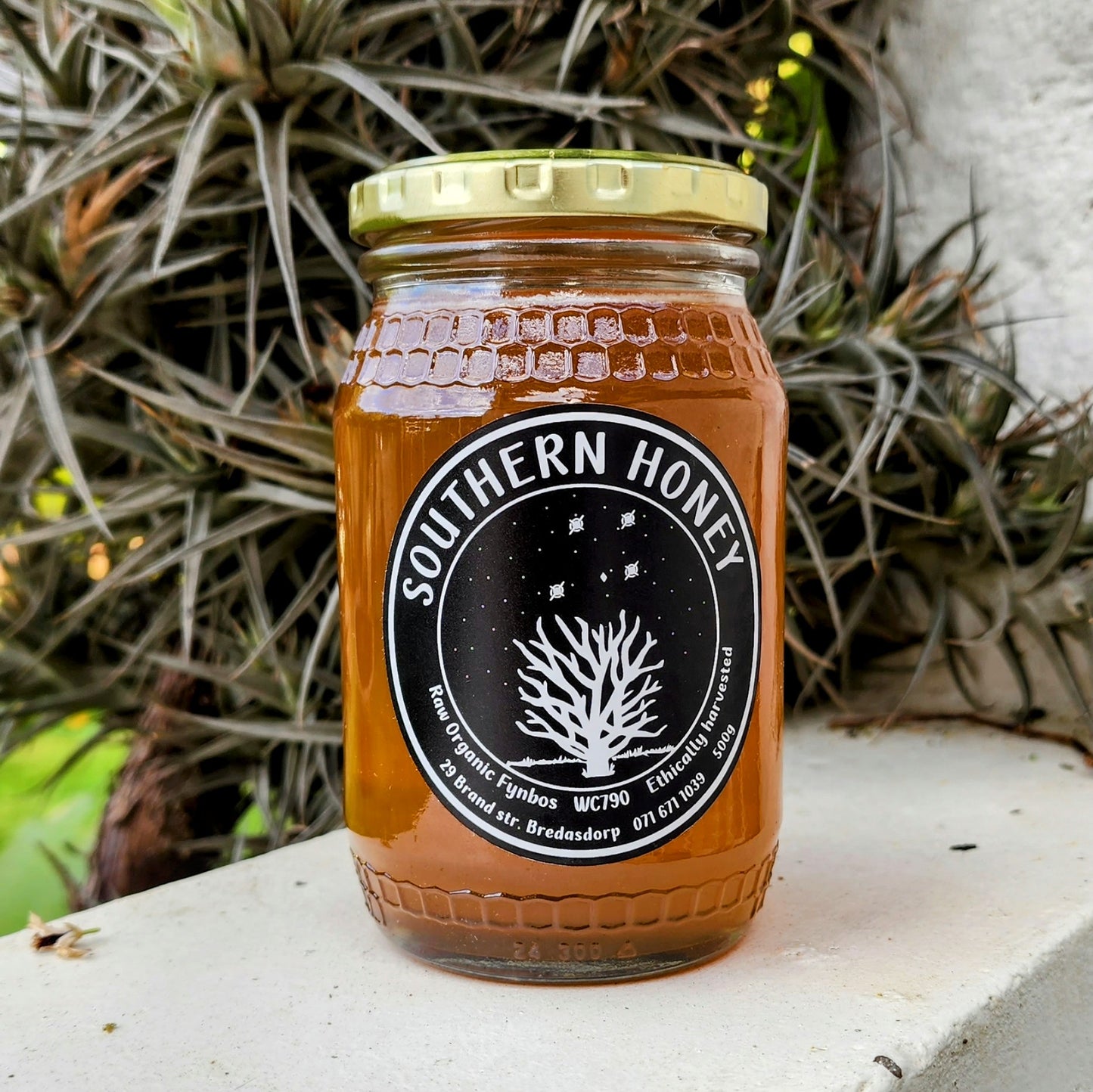 Southern Honey