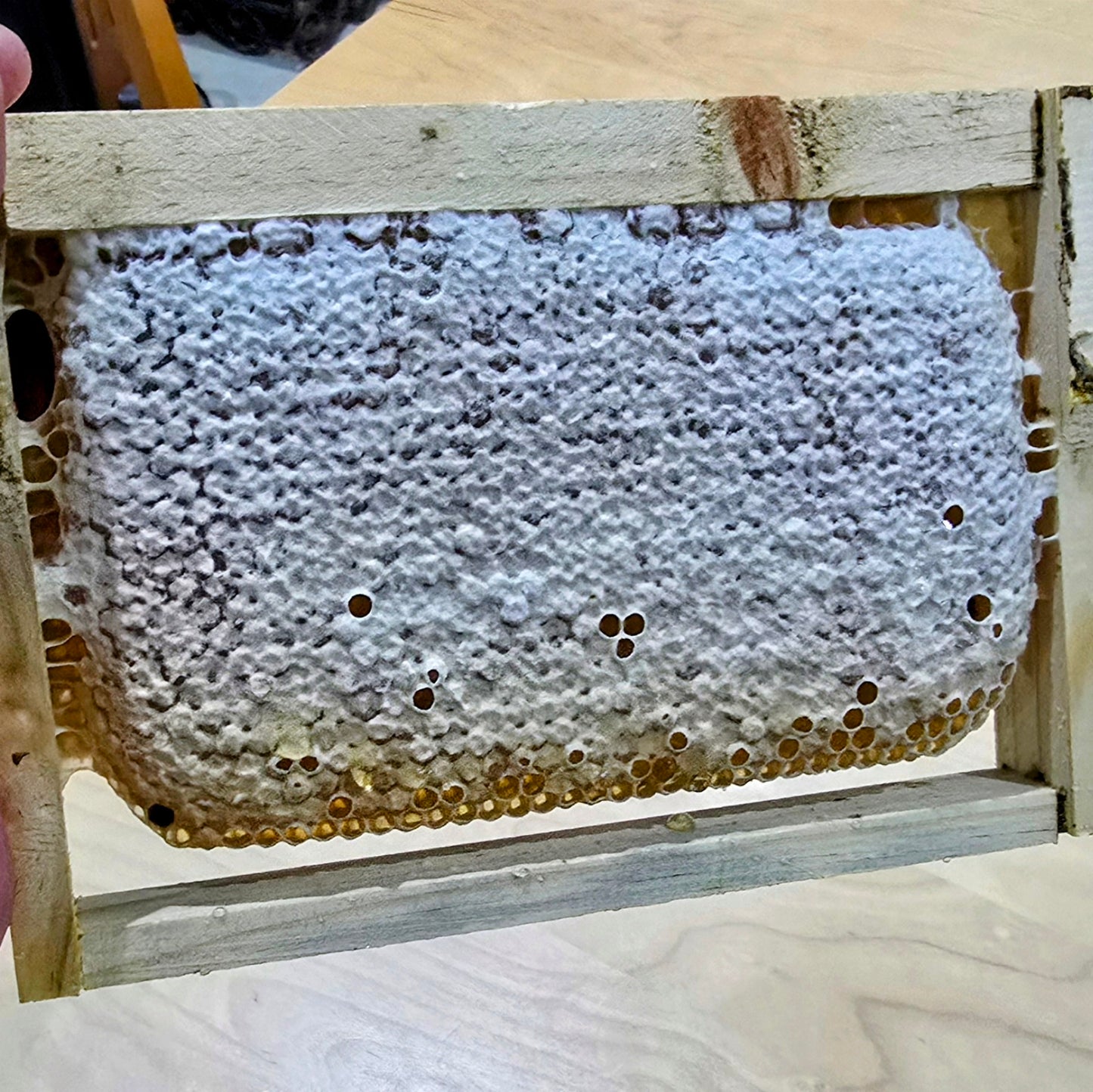 Honeycomb